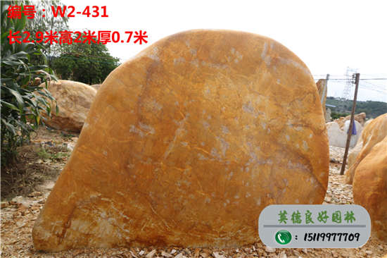 重慶園林景觀石W2-431