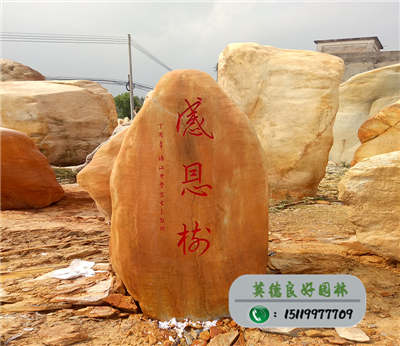 廣東黃蠟石--濠江中學家長會贈石--感恩樓