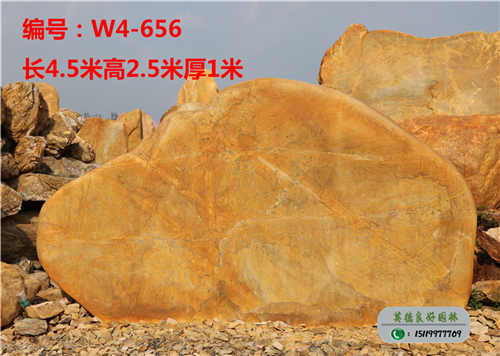 公園黃蠟石W4-656