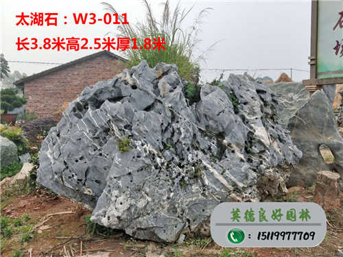 廣東太湖石W3-011