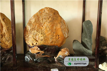 觀賞石