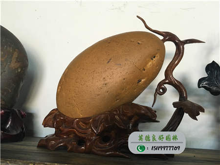 觀賞石