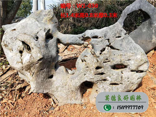 公園太湖石W1-030