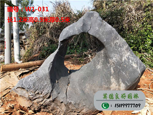 小區太湖石W1-031