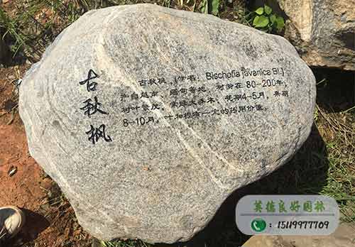 古秋楓泰山石刻字案例
