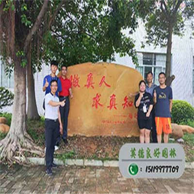 刻字黃蠟石-清新三中校園文化石 