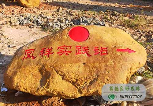 鳳祥實踐站---小黃臘石刻字石案例